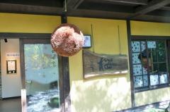 土田本店　お食事処桜