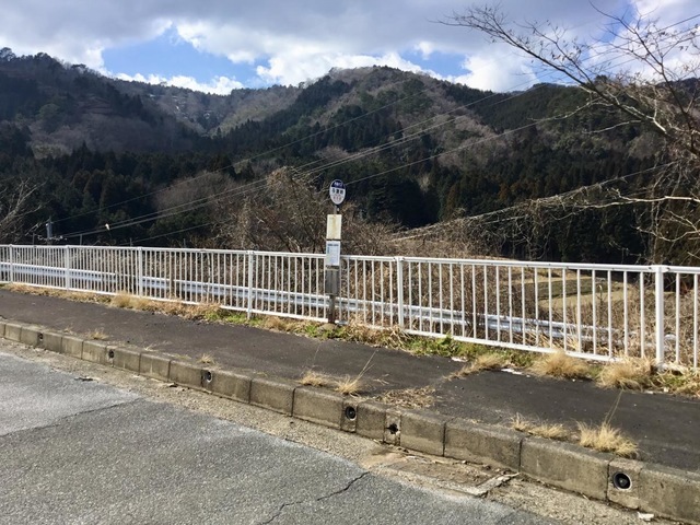 投稿写真7