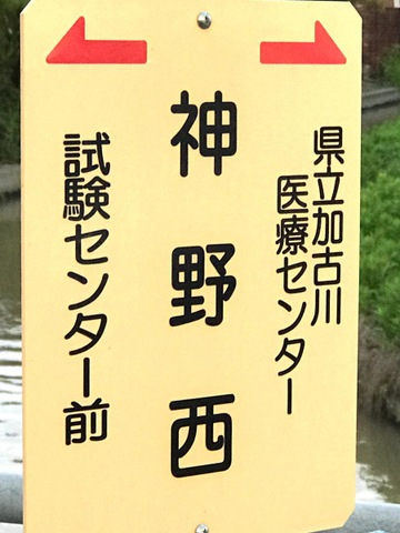 投稿写真2