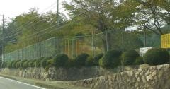 美和東小学校