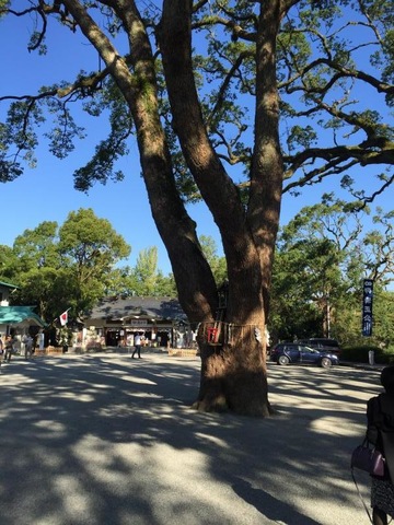 施設写真330