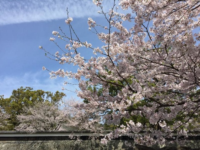 施設写真293