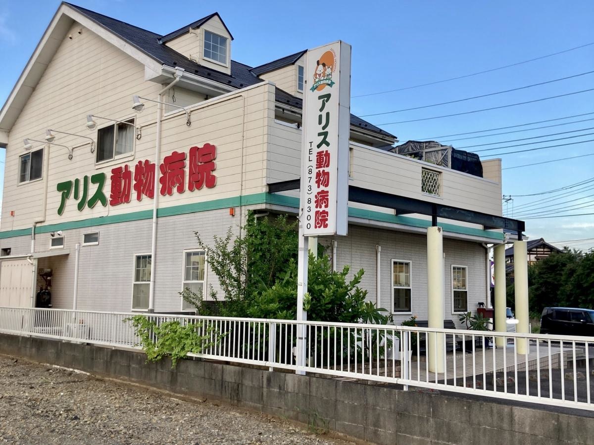アリス動物病院