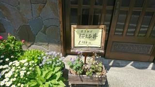菊屋
