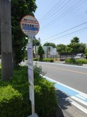 「市民体育館入口(上尾市)」バス停留所