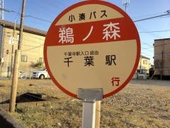「鵜ノ森」バス停留所
