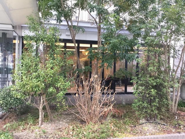 Ｇｒａｎ樹ＮＡＧＯＹＡ