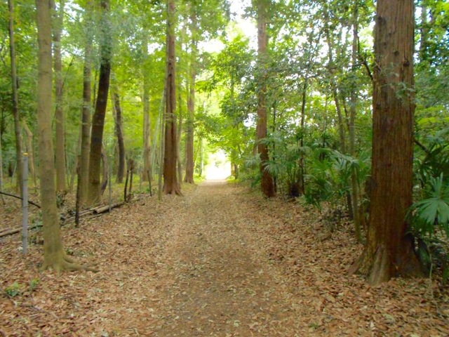 施設写真0