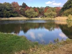 塩屋台公園