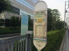 「仲町小学校」バス停留所