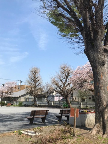投稿写真3