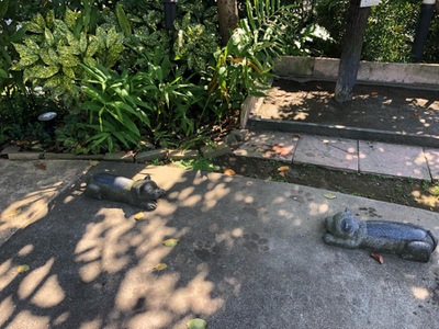 ドッグメディカル 若山動物病院 佐倉市石川