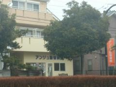 アンジュ動物病院