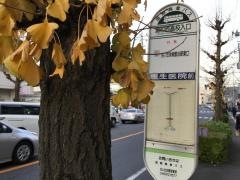 「浦和西高校入口」バス停留所