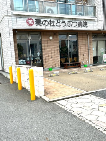 投稿写真3