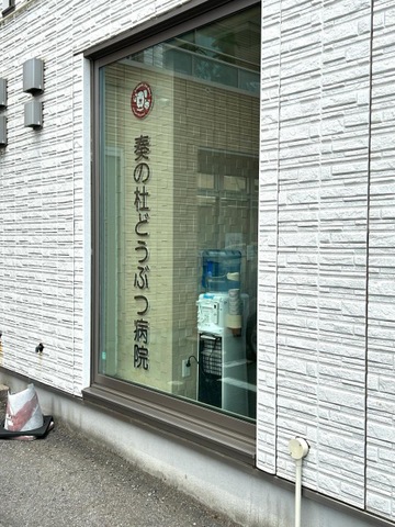 投稿写真2