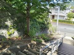 びょうやなぎ南緑道