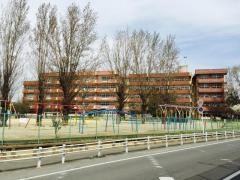 河原塚小学校
