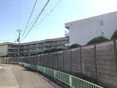 藍野花園病院
