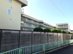藍野花園病院