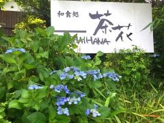 茶花