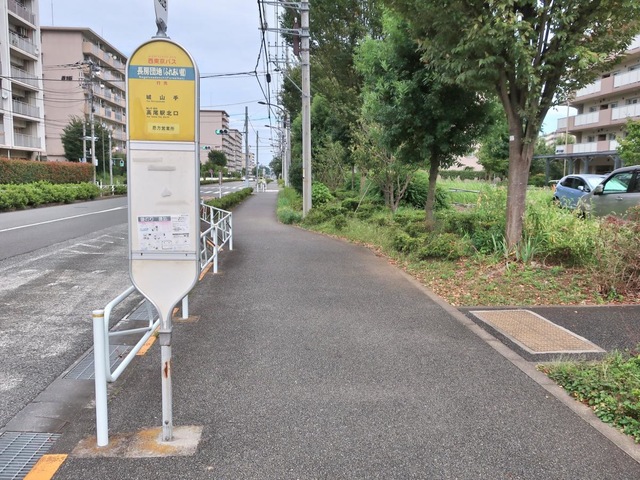 投稿写真1