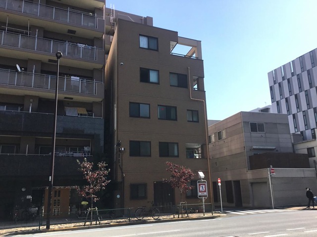 つくし