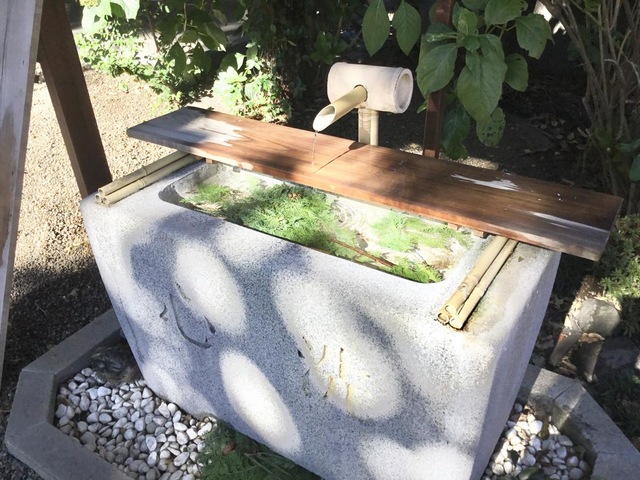 投稿写真4