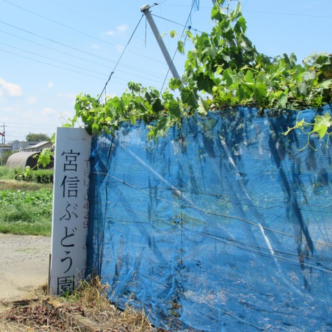 施設写真3