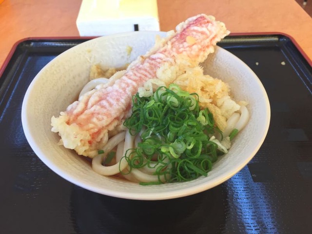 画像8