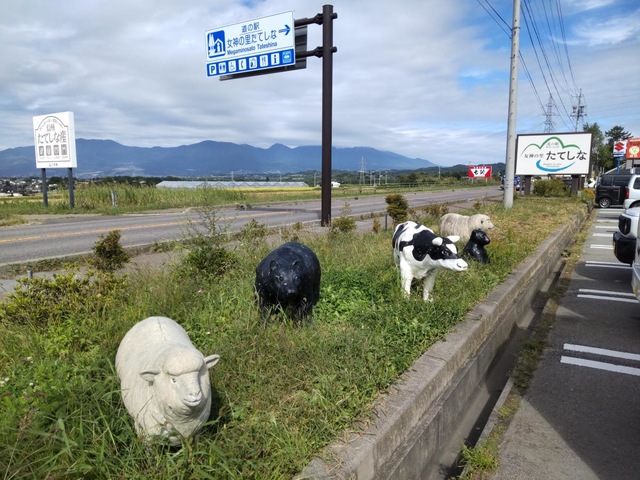 投稿写真6