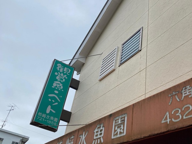 投稿写真1