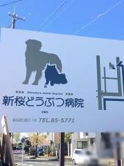 新桜どうぶつ病院
