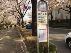 「おいせ橋」バス停留所