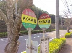 「さくら木通り」バス停留所