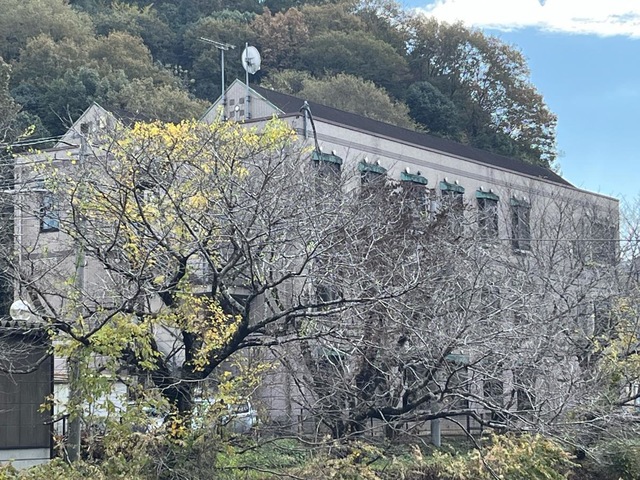 もみじ 施設外観