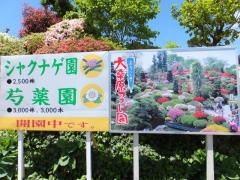 大桑原つつじ園