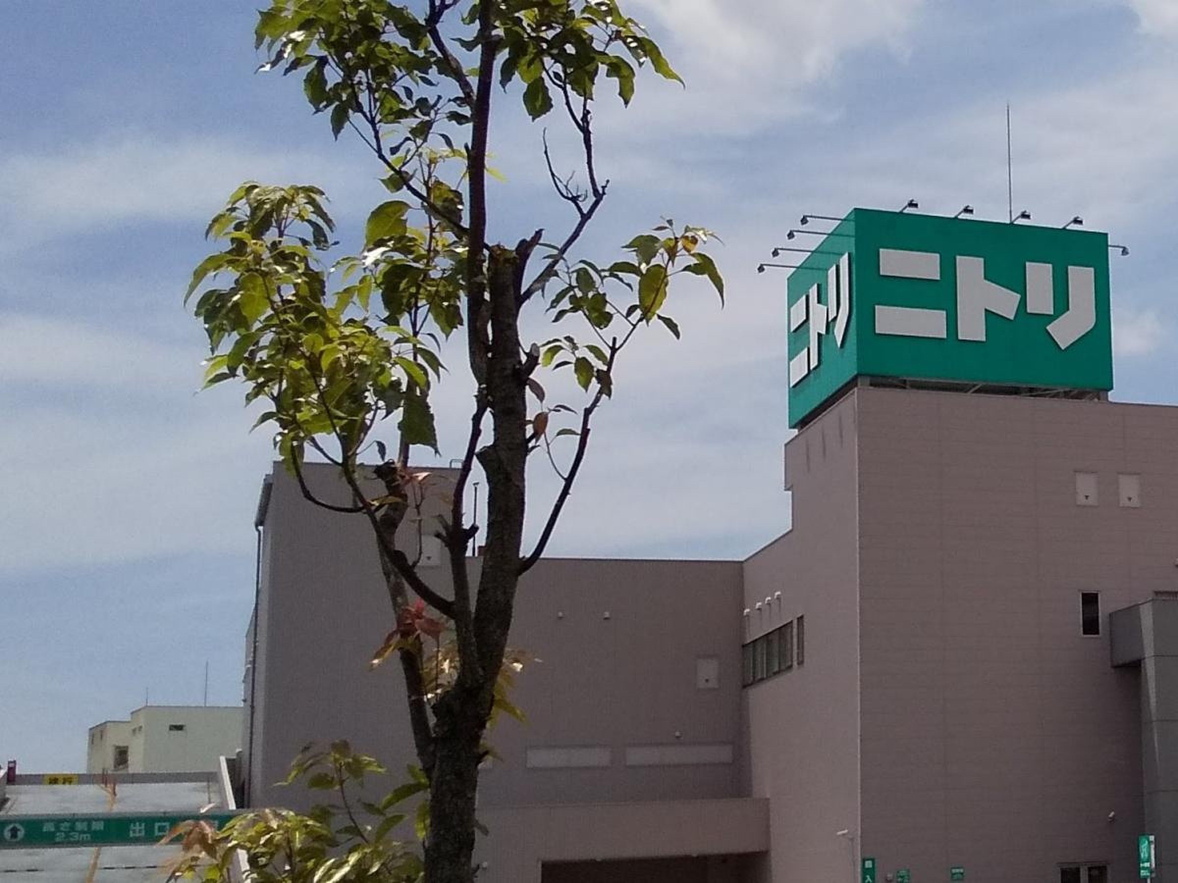 ニトリ 豊中 三国 店
