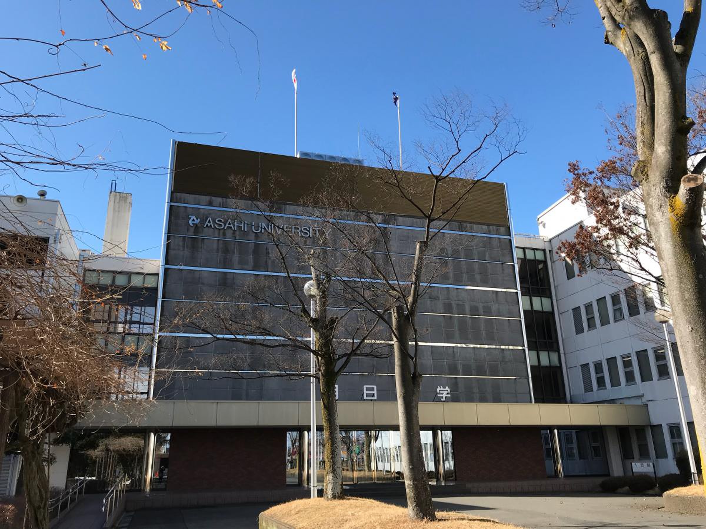 朝日大学 レビュー