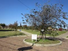 大原公園