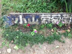 小山観光ぶどう園