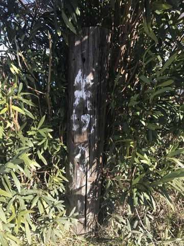 施設写真17