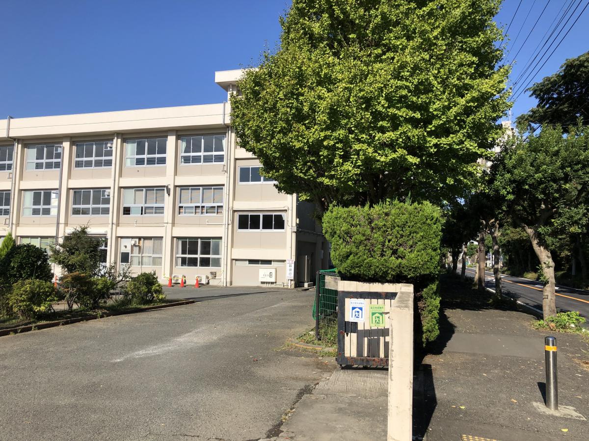 公の場での発言・インタビュー報道記録