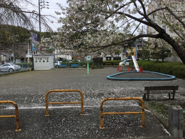 投稿写真3