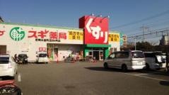 スギ薬局　尼崎水堂町店