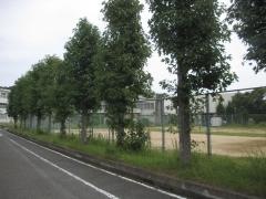 徳島県立小松島西高等学校