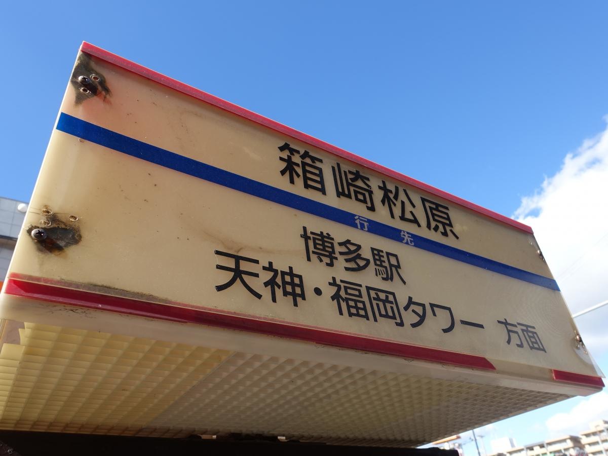 「箱崎松原」バス停留所