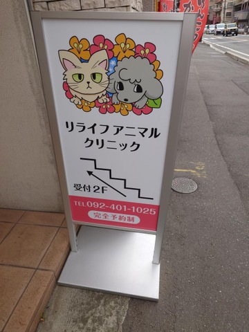 投稿写真4