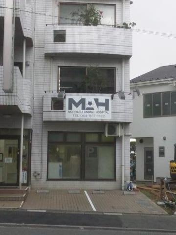 投稿写真1