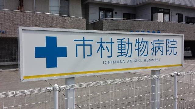 投稿写真2
